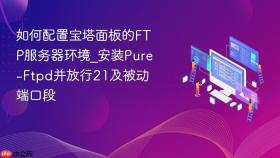 如何配置宝塔面板的ftp服务器环境_安装pure-ftpd并放行21及被动端口段