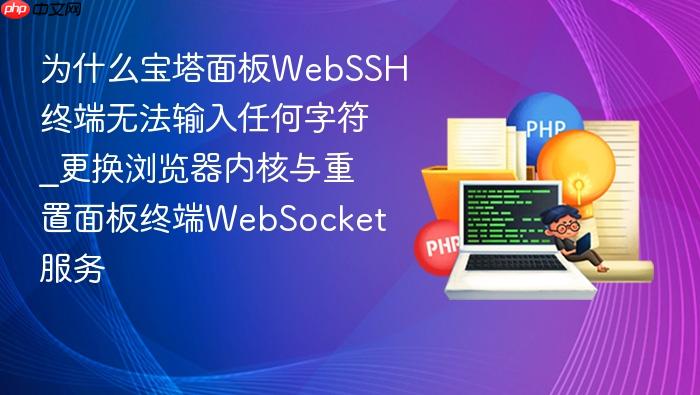 为什么宝塔面板webssh终端无法输入任何字符_更换浏览器内核与重置面板终端websocket服务