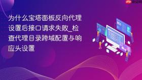 为什么宝塔面板反向代理设置后接口请求失败_检查代理目录跨域配置与响应头设置
