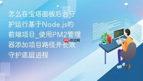 怎么在宝塔面板后台守护运行基于node.js的前端项目_使用pm2管理器添加项目路径并长效守护底层进程