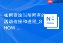 如何查询当前所有的活动连接和进程_SHOW PROCESSLIST的命令替代方案