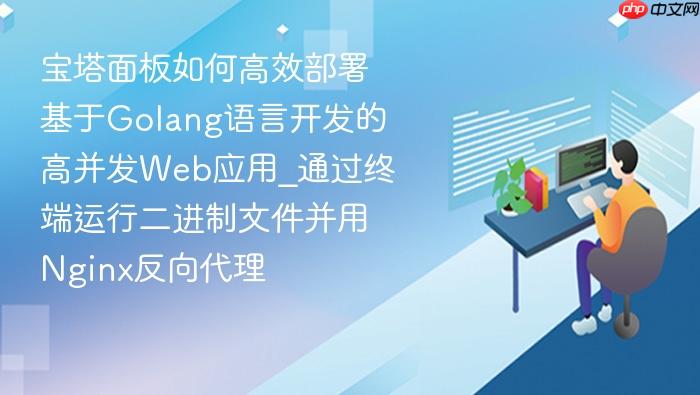 宝塔面板如何高效部署基于golang语言开发的高并发web应用_通过终端运行二进制文件并用nginx反向代理