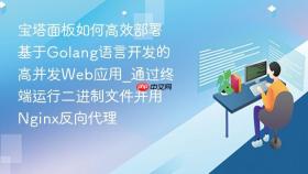 宝塔面板如何高效部署基于Golang语言开发的高并发Web应用_通过终端运行二进制文件并用Nginx反向代理