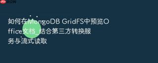 如何在mongodb gridfs中预览office文档_结合第三方转换服务与流式读取