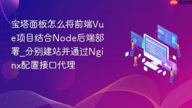 宝塔面板怎么将前端vue项目结合node后端部署_分别建站并通过nginx配置接口代理
