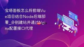 宝塔面板怎么将前端Vue项目结合Node后端部署_分别建站并通过Nginx配置接口代理