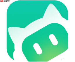 如何验证下载的 workbuddy 安装包是否安全?