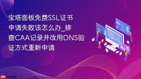 宝塔面板免费ssl证书申请失败该怎么办_排查caa记录并改用dns验证方式重新申请