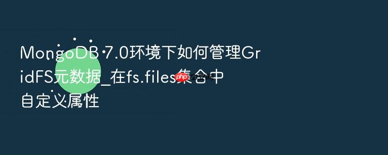 mongodb 7.0环境下如何管理gridfs元数据_在fs.files集合中自定义属性