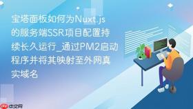 宝塔面板如何为nuxt.js的服务端ssr项目配置持续长久运行_通过pm2启动程序并将其映射至外网真实域名