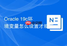 Oracle 19c环境变量怎么设置才规范_配置bash_profile定义ORACLE_HOME