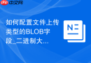 如何配置文件上传类型的BLOB字段_二进制大对象数据类型的结构选型指南
