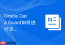 Oracle Data Guard如何进行灾难恢复演习_记录演习结果方案
