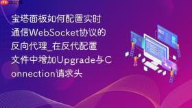 宝塔面板如何配置实时通信websocket协议的反向代理_在反代配置文件中增加upgrade与connection请求头