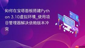 如何在宝塔面板搭建Python 3.10虚拟环境_使用项目管理器解决依赖版本冲突