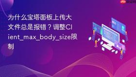 为什么宝塔面板上传大文件总是报错？调整Client_max_body_size限制