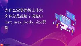 为什么宝塔面板上传大文件总是报错?调整client_max_body_size限制