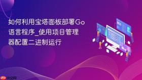 如何利用宝塔面板部署go语言程序_使用项目管理器配置二进制运行