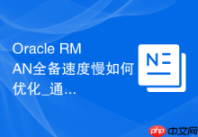 Oracle RMAN全备速度慢如何优化_通过调整备份通道与并行度