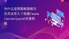 为什么宝塔面板面板日志无法写入？检查/www/server/panel目录权限