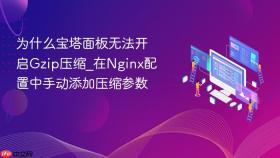 为什么宝塔面板无法开启gzip压缩_在nginx配置中手动添加压缩参数