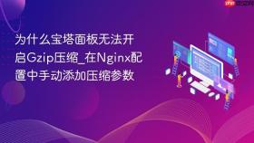 为什么宝塔面板无法开启Gzip压缩_在Nginx配置中手动添加压缩参数