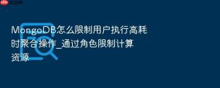 mongodb怎么限制用户执行高耗时聚合操作_通过角色限制计算资源