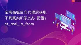 宝塔面板反向代理后获取不到真实ip怎么办_配置set_real_ip_from