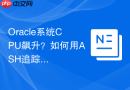 Oracle系统CPU飙升？如何用ASH追踪瞬时高消耗进程
