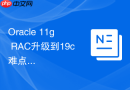 Oracle 11g RAC升级到19c难点在哪？数据迁移与兼容性检查