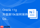 Oracle 11g升级到19c如何保持Data Guard同步_升级期间数据迁移方案