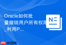 Oracle如何批量撤销用户所有权限_利用PL/SQL脚本处理