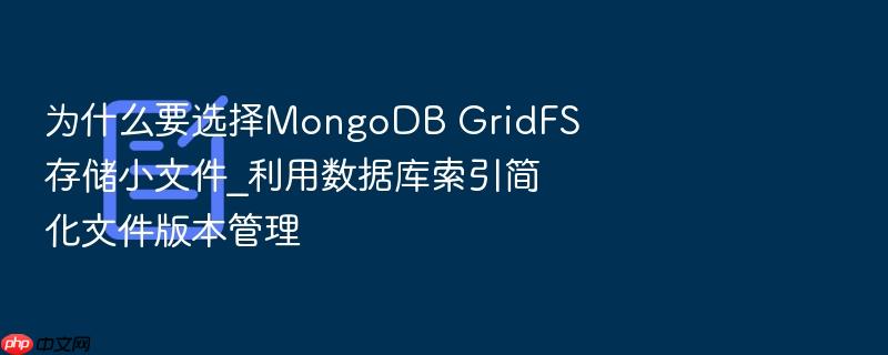 为什么要选择mongodb gridfs存储小文件_利用数据库索引简化文件版本管理