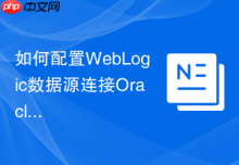 如何配置WebLogic数据源连接Oracle_优化JNDI设置