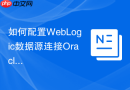 如何配置WebLogic数据源连接Oracle_优化JNDI设置