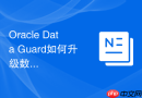Oracle Data Guard如何升级数据库版本_利用备库切换实现迁移