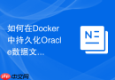 如何在Docker中持久化Oracle数据文件_使用数据卷映射宿主机目录到容器内部