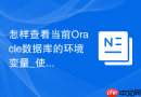 怎样查看当前Oracle数据库的环境变量_使用env命令过滤ORACLE相关配置