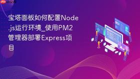 宝塔面板如何配置node.js运行环境_使用pm2管理器部署express项目