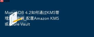 MongoDB 4.2如何通过KMS管理加密密钥_配置Amazon KMS或Azure Vault
