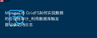 mongodb gridfs如何实现数据的合规性审计_利用数据库触发器记录访问日志