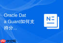 Oracle Data Guard如何支持分片数据库_分布式容灾架构实现