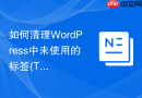 如何清理WordPress中未使用的标签(Tags)_多表联合查询找出孤立的词表分类并进行删除