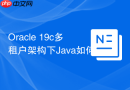 Oracle 19c多租户架构下Java如何连接PDB数据库_在URL中指定Service Name