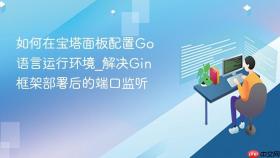 如何在宝塔面板配置go语言运行环境_解决gin框架部署后的端口监听