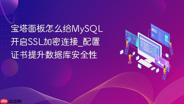 宝塔面板怎么给mysql开启ssl加密连接_配置证书提升数据库安全性