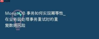 mongodb 事务如何实现幂等性_在业务层处理事务重试时的重复数据风险