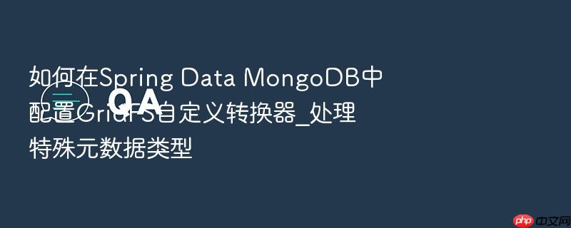 如何在spring data mongodb中配置gridfs自定义转换器_处理特殊元数据类型