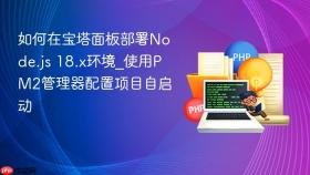 如何在宝塔面板部署node.js 18.x环境_使用pm2管理器配置项目自启动