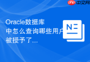 Oracle数据库中怎么查询哪些用户被授予了SYSDBA权限_利用ORAPWD文件检查
